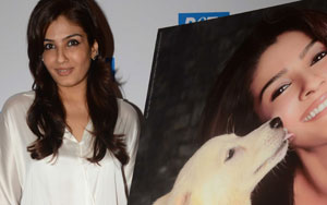 Puppy Love, Adopt, Don't Buy: Raveena