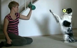 Dog Aerobics