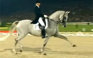 Sensational Dancing Horse