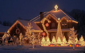 Best Christmas Lights!