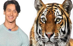 Tiger Shroff Jokes Trend On Twitter 