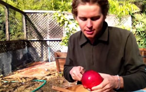 Quick Trick to De-Seed a Pomegranate