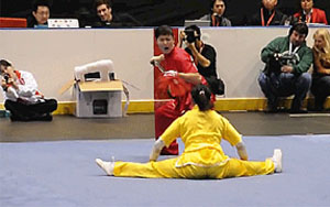 Insane Wushu Championship