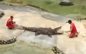 Crocodile Stunt Fail