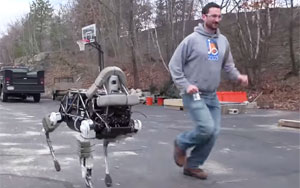 Meet Spot, The Functional Robot Dog