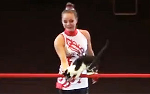 Amazing Russian Circus Cats