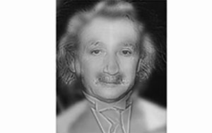  Albert Einstein or Marilyn Monroe?