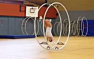 Wheel Gymnastics