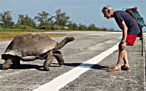 An Explorer is Chased by a Giant Tortoise