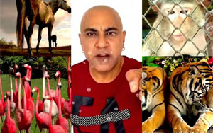 Ek Pal With an Animal - Baba Sehgal