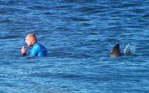 Mick Fanning Escapes Shark Attack at Surfing Competition