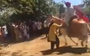 Groom Thrown Off Drugged Horse During Wedding Procession