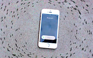 Ants Circling iPhone