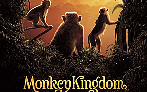 'Monkey Kingdom' - Trailer