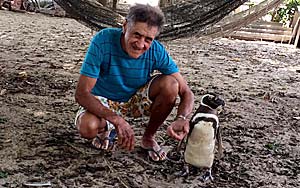 Penguin Befriends Old Man Who Saved Him