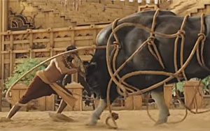 Making of Bahubali - Bull Fight Sequence