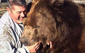 Giant Bear Plays With Giant Man