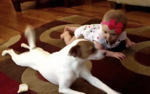 Dog Teaches Little Girl How to Crawl