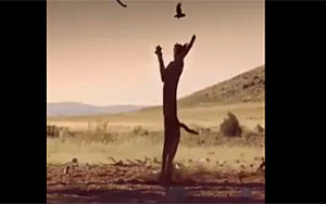 Incredible: A Caracal Slaps Down a Bird in Flight