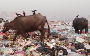 The Innovative Way India's Handling Its Massive Trash Problem