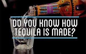 Do You Know How Tequila Is Made?