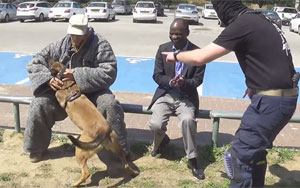 Dog Is Trained To Protect Its Owners From Knife Attacks