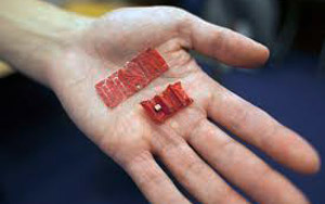 Ingestible Origami robot