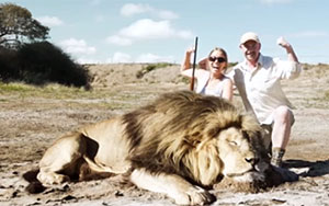 Lion Takes Revenge on Trophy Hunter