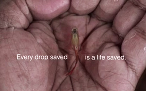 Every Drop Saved Is a Life Saved