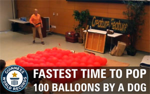 Guinness World Records - Fastest Time to Pop 100 Balloons by a Dog