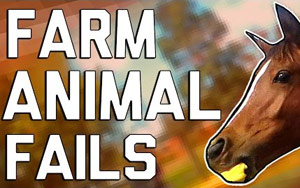 Hilarious Farm Animal Fails by FailArmy