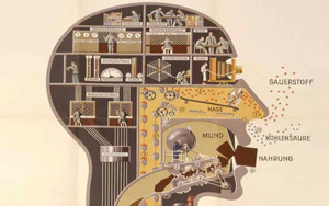 Human Anatomy - Man as Industrial Palace