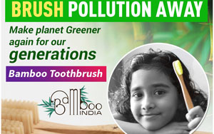 Brush Pollution Away