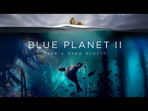 Promo of Blue Planet II: The Prequel