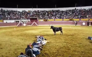 The Bull Fight Game