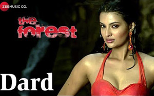 Dard Song  - 'The Forest'