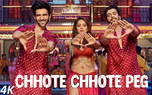 Chhote Chhote Peg Song ft.Yo Yo Honey Singh - 'Sonu Ke Titu Ki Sweety'