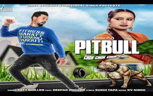 Punjabi Song Pitbull by Satt Dhillon