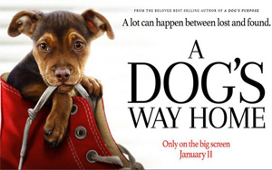 A Dog's Way Home Trailer