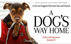 A Dog's Way Home International Trailer