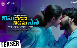 Teaser of Telugu Movie Ninu Veedani Needanu Nene