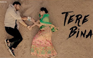 Tere Bina Music Video by Bismil