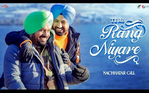 Punjabi Song Tere Rang Niyare - Ardaas Karaan