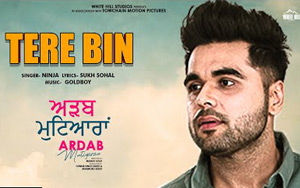 Punjabi Song Tere Bin - Ardab Mutiyaran 