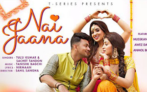 Nai Jaana Song by Tulsi Kumar and Sachet Tandon