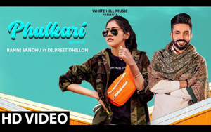 Punjabi Song PHULKARI by Baani Sandhu ft. Dilpreet Dhillon