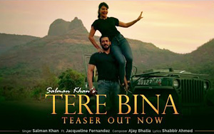 Tere Bina Song Teaser ft. Salman Khan, Jacqueline Fernandez