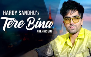 Punjabi Song Tere Bina (Reprise Vesrion) By Harrdy Sandhu