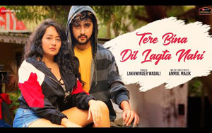 Tere Bina Dil Lagta Nahi Music Video By Lakhwinder Wadali