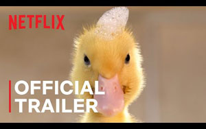 Tiny Creatures Trailer - Netflix